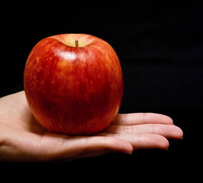 栄養 りんご りんご サンふじ加熱調理で高まる栄養成分｜味の農園